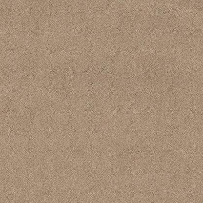 GORRETT II in Dunes Carpet