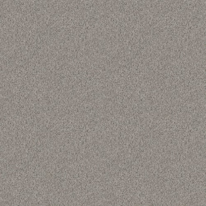 CAMP POINT ACCENT III