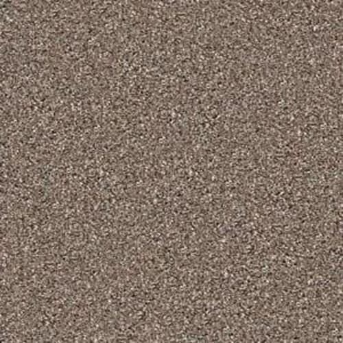 GOOD FEELING II in Cobble Brown Carpet