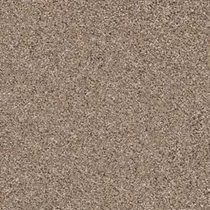 FLASHDANCE II in Cobble Drive Carpet