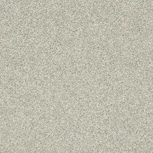 FASHION MAGIC I in Fog Carpet
