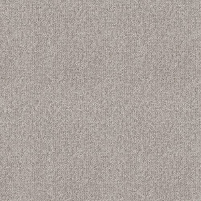 NEW MORN in Sterling Carpet