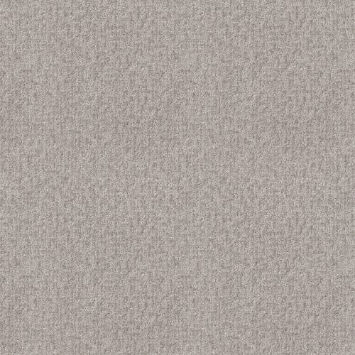 NEW MORN in Sterling Carpet