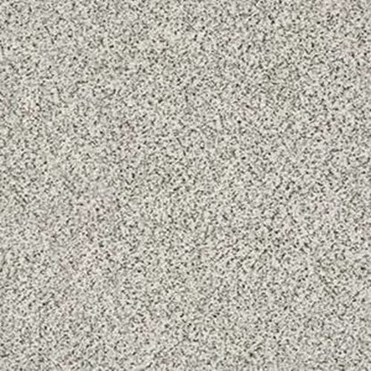 ESSENTIAL LUXURY ACCENT I in Great Mood (A) Carpet