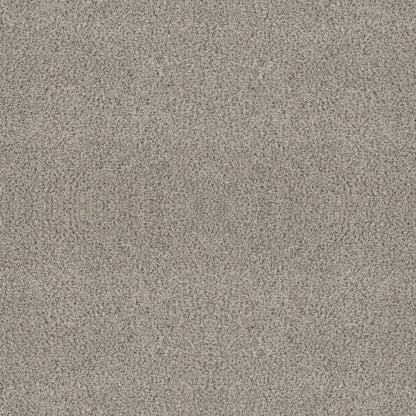ESSENTIAL LUXURY ACCENT II