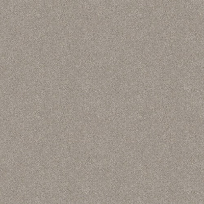 LIVE YOUR DREAM II in Oatmeal Carpet