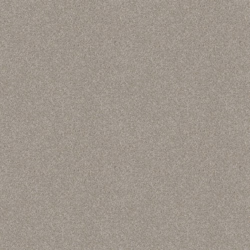 LIVE YOUR DREAM II in Oatmeal Carpet