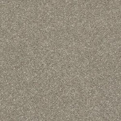 PERSISTENT I in Rustic Taupe Carpet