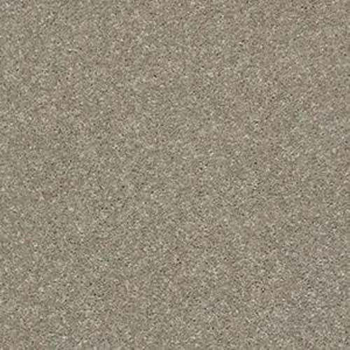 PERSISTENT I in Rustic Taupe Carpet