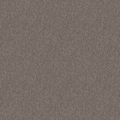 GRACE SHORES (T) in Walking Trail Carpet