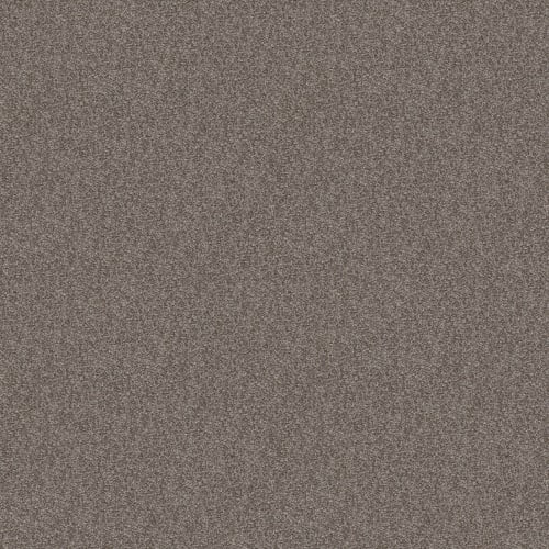 GRACE SHORES (T) in Walking Trail Carpet
