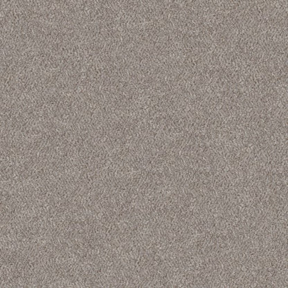 GRACE SHORES (B) in Stone Carpet