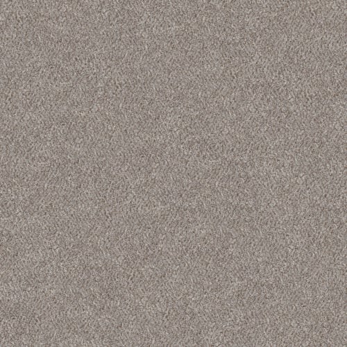 GRACE SHORES (B) in Stone Carpet