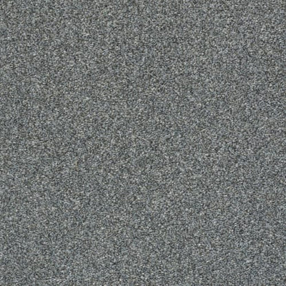 GRACIOUSNESS (T) in Mountain Path Carpet