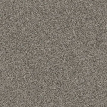 GRACIOUSNESS (B) in Sierra Mist Carpet