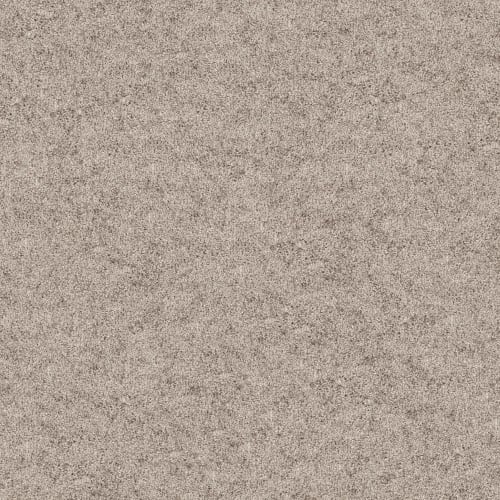 FULL TILT in Oyster Carpet