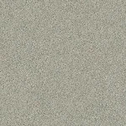 SOFT SANDS I in Moondance Carpet