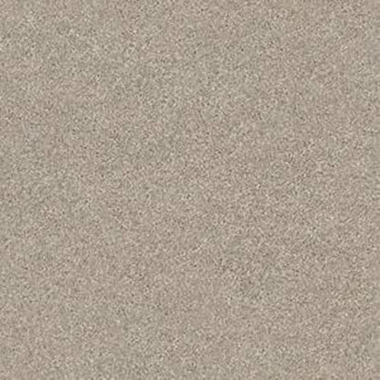 SOFT SANDS II in Driftwood Carpet