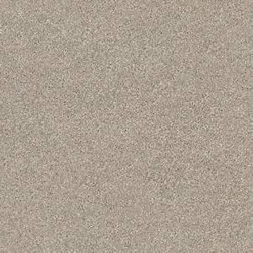 SOFT SANDS II in Driftwood Carpet