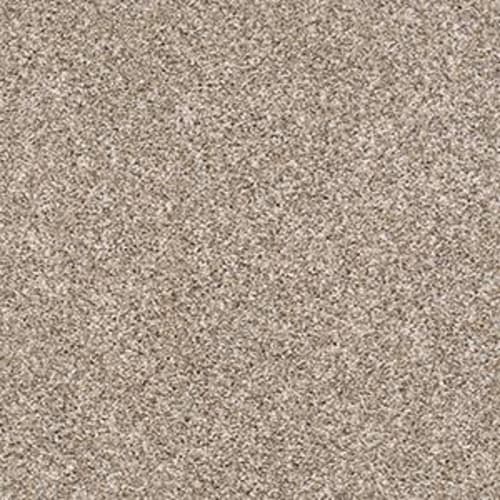 ALPINE WAY II in Neutral Ground Carpet