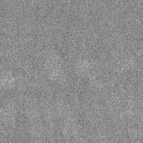 ENDURING FAME II in Silver Lining Carpet