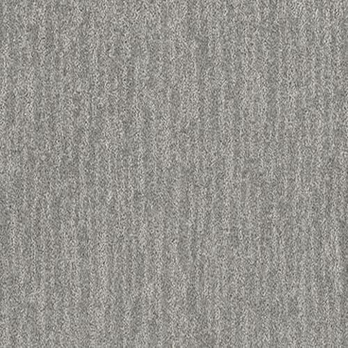 HOLD TRUE in Grey Fox Carpet