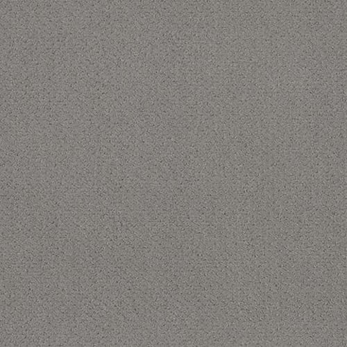 IMAGINARY LINE in Grey Fox Carpet