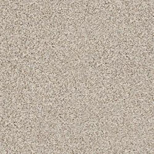 ROYALIST ACCENT I in Stage Lights (A) Carpet