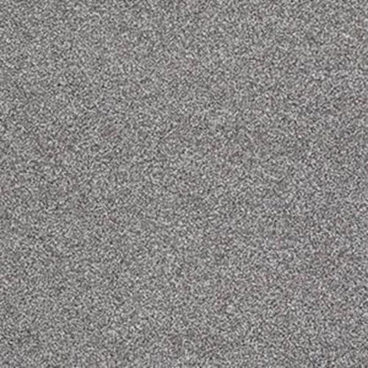 SABAL SPRINGS I in Washed Gray Carpet