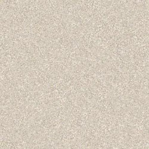 SABAL SPRINGS II in Boutique Carpet