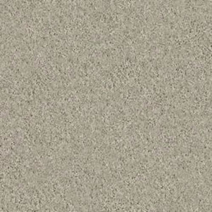 RUGBY CIRCLE II in Barista Carpet