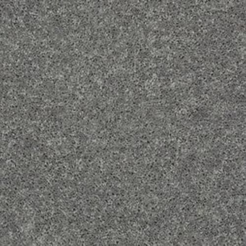 CACTUS BLUFF (S) in Steel Carpet