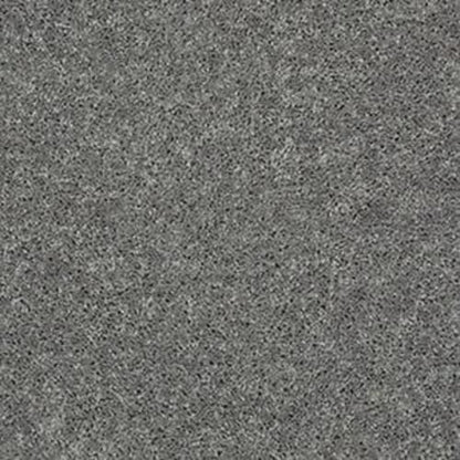 CACTUS BLUFF (S) in Steel Carpet