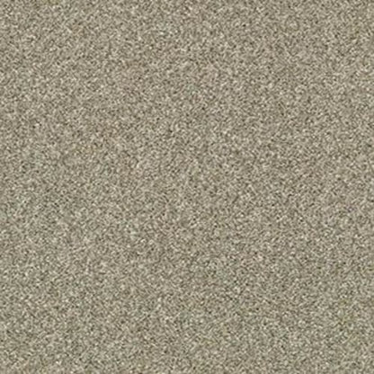 CACTUS BLUFF (T) in Pebble Creek Carpet
