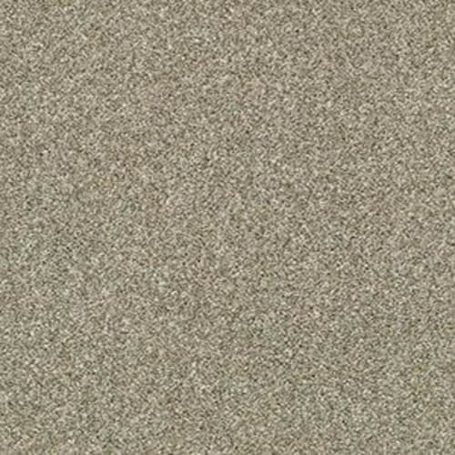 CACTUS BLUFF (T) in Pebble Creek Carpet