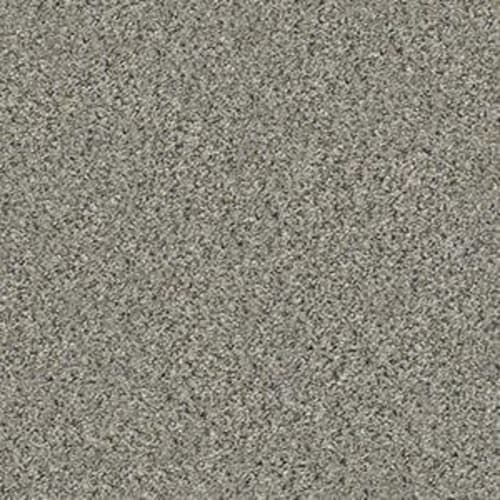 RAMBLING LANE I in Rhino Carpet