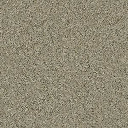 RAMBLING LANE II in Tree House Carpet