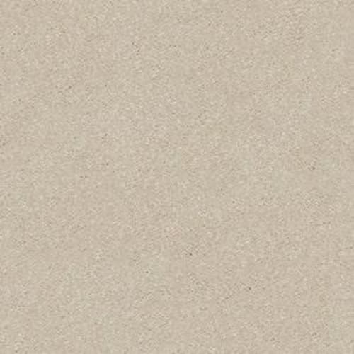 SABRINA PASS I 12 in Bleached Carpet