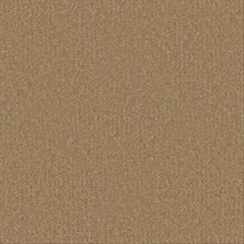 Gold Mine II 36 in Moon Glow Carpet