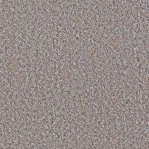 Ackerman Enh 3+ in Wingate Stone Carpet