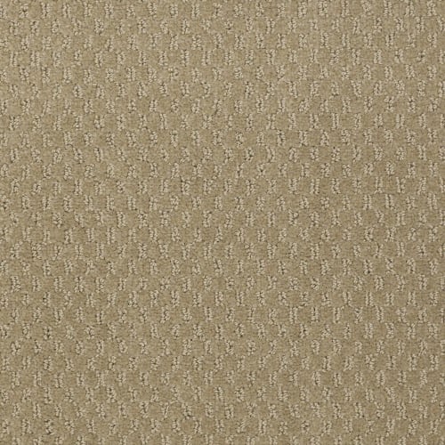 Tropic Sands in Wheat Toast Carpet