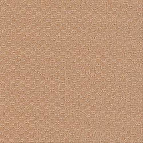 High Society in Mesa Ridge Carpet