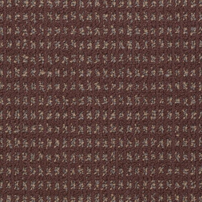 Charming Classic in Stonecrest Carpet