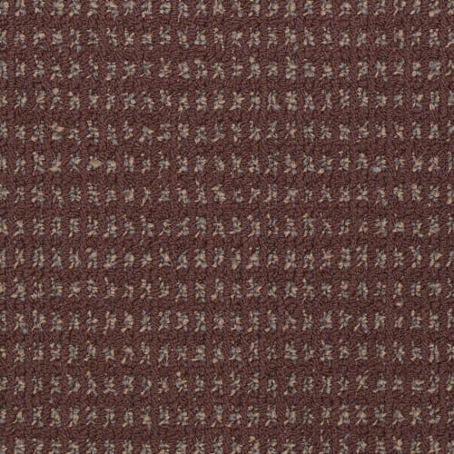 Charming Classic in Stonecrest Carpet