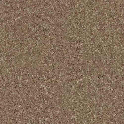 Sea Mist 12 in Driftwood Carpet