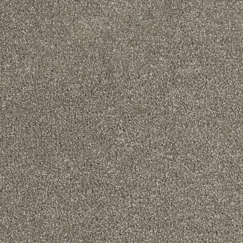 Hollywood in Cinnamon Tea Carpet