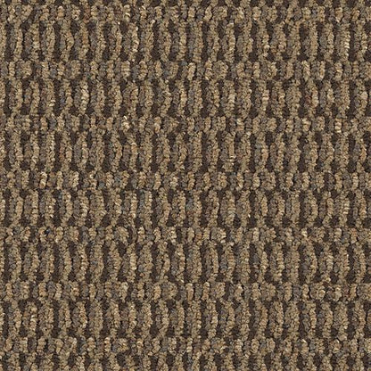 Contemplate in Envision Carpet