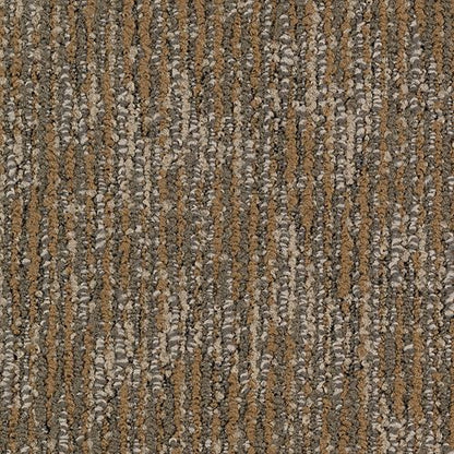 Surface Purpose in Enticing Texture Carpet