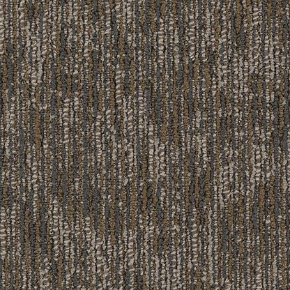 Surface Purpose
