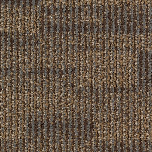 Distinctive Appeal in Monumental Canvas Carpet